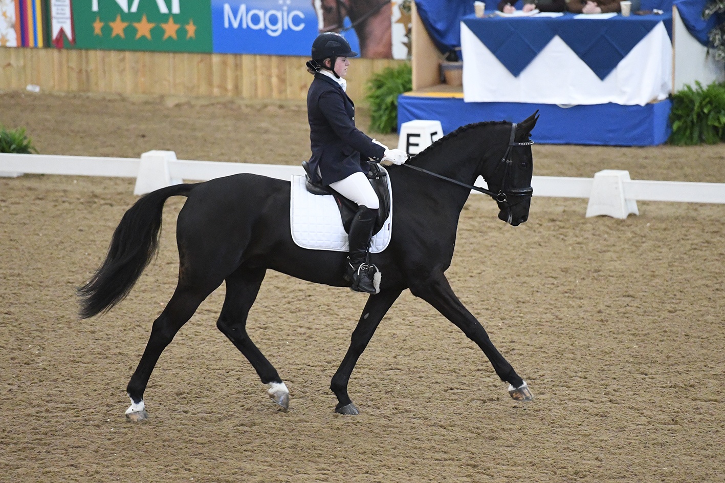 Hannah Bown is Crowned Novice Restricted National Winter Champion