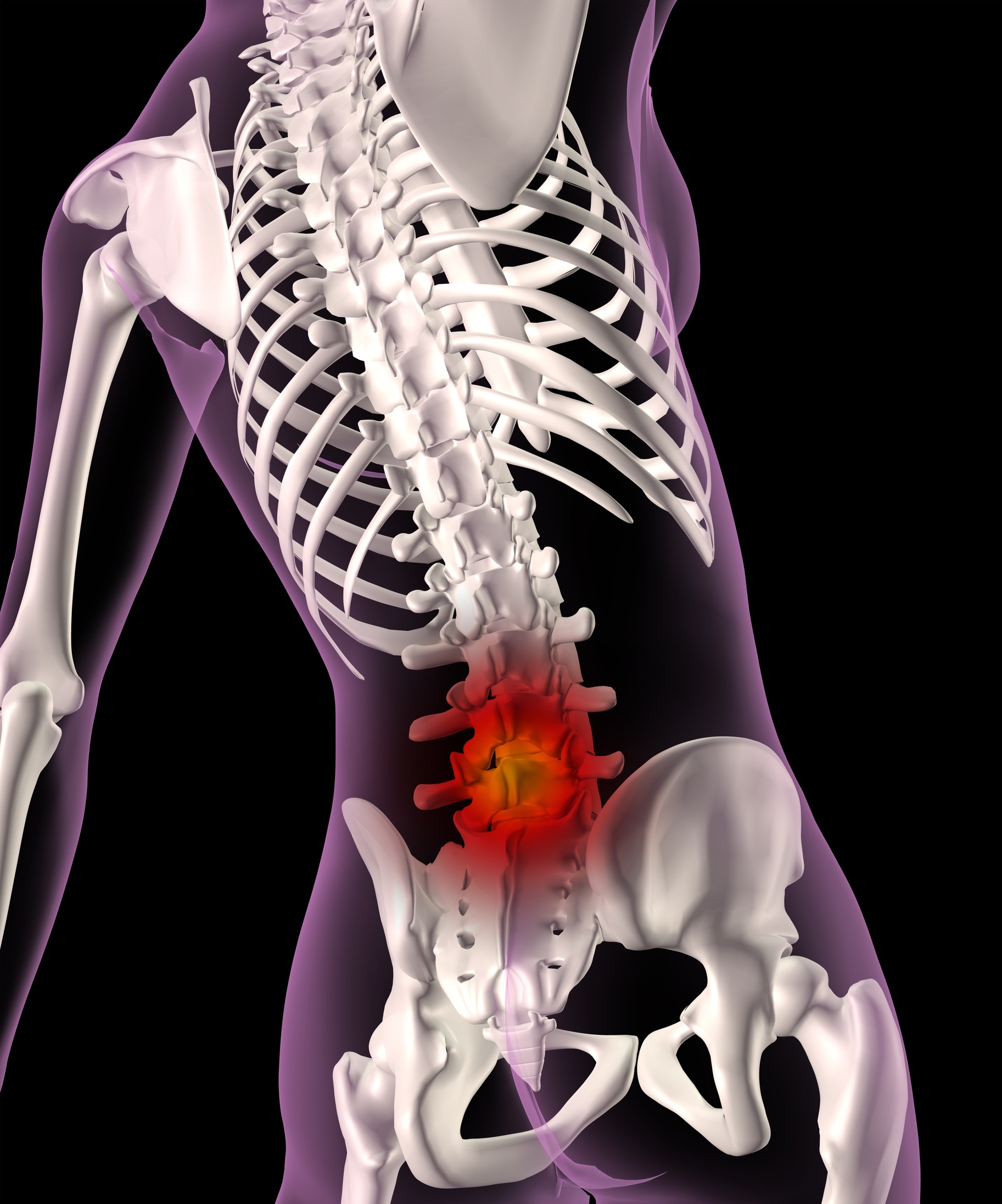 Human spine, ribs and lower back pain