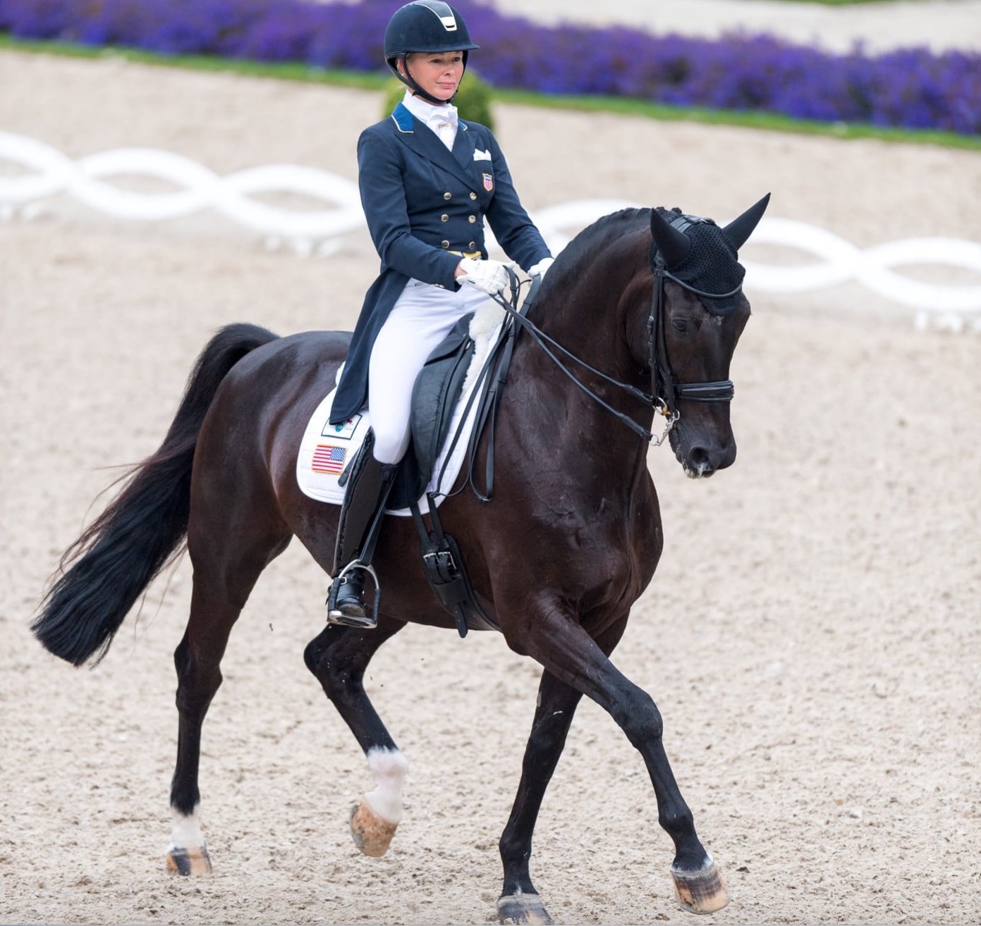 Straightness training for dressage, eventing and jumping in equestrian sports by Katherine Bateson Chandler