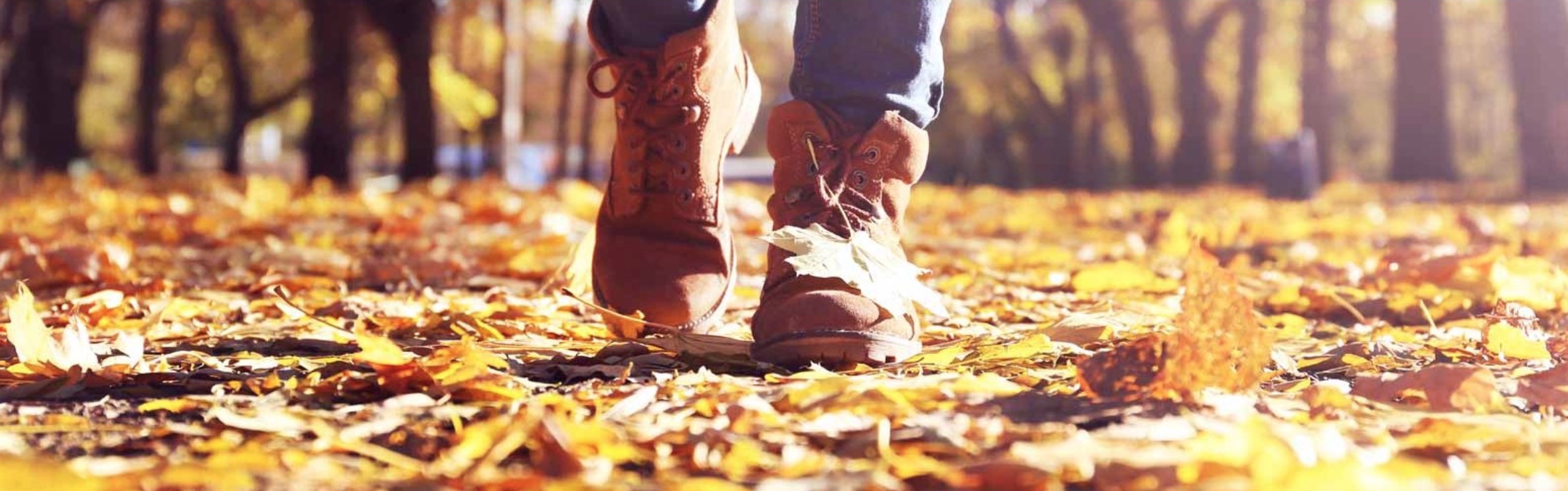 Walking through slippery leaves understanding the need for core stability